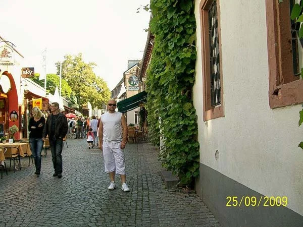 Zdjęcie z galerii